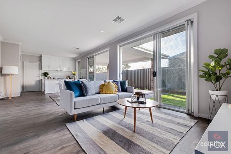 Property photo of 7 Coolah Terrace Marion SA 5043