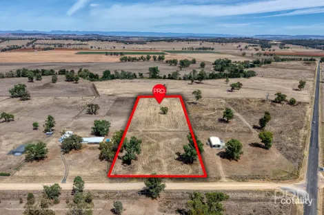 479 Spains Lane, Quirindi, NSW 2343
