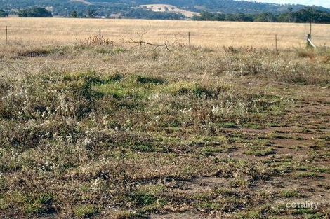 24 Bonada Ave, Mumbil, NSW 2820