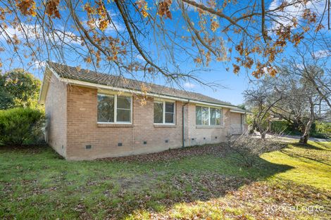 Property photo of 61 Carruthers Street Curtin ACT 2605