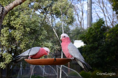 Property photo of 45 Jennings Street Curtin ACT 2605