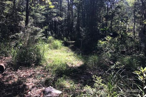 Property photo of 22 Agathis Lane Cootharaba QLD 4565