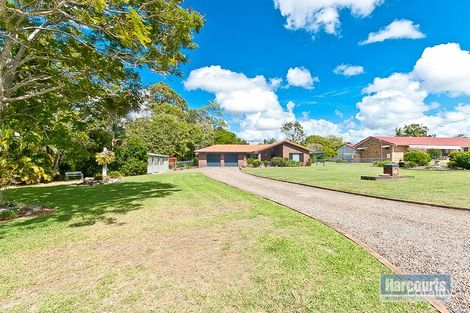 Property photo of 16 Masters Court Morayfield QLD 4506