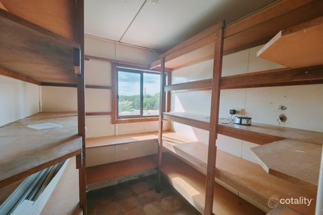 Property photo of 43 William Street Waratah TAS 7321