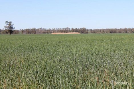 1097 Feas Rd, Talwood, QLD 4496