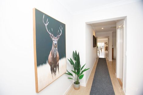 Property photo of 6 Durack Circuit Boorooma NSW 2650