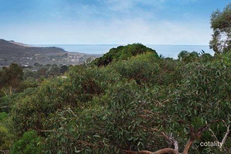 Property photo of 10 Bachli Court Anglesea VIC 3230