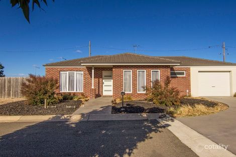 1/8 Nikola Ct, Marshall, VIC 3216