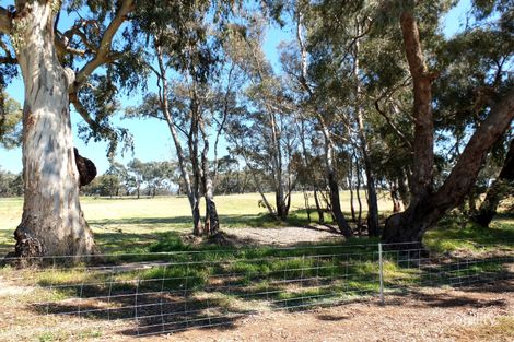 Property photo of 99 Orme Street Avoca VIC 3467