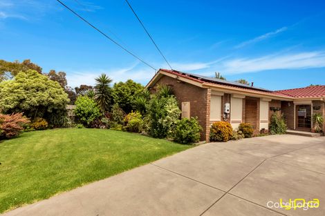 Property photo of 1 Ainsleigh Court Cranbourne VIC 3977