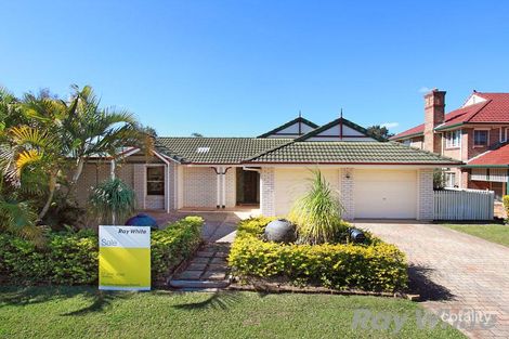 Property photo of 31 Castle Hill Drive Murrumba Downs QLD 4503