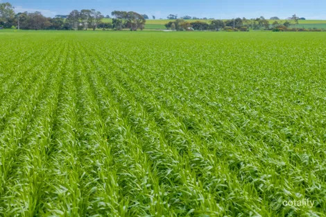 569 Ahrens Rd, Shea-Oak Log, SA 5371