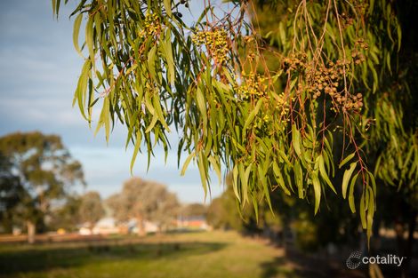 Property photo of 67 Mulgara Drive Thurgoona NSW 2640