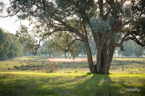 Property photo of 67 Mulgara Drive Thurgoona NSW 2640