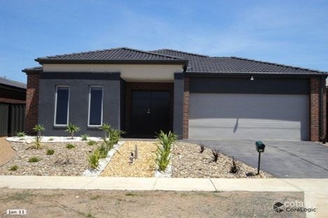 Property photo of 19 Cobram Street Tarneit VIC 3029