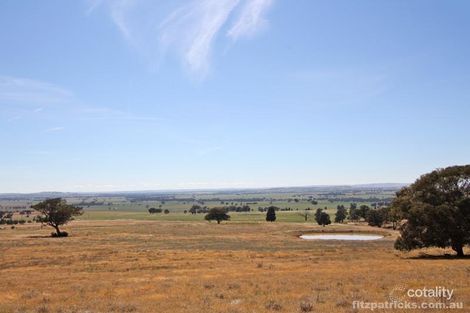 50 Mclartys Rd, Dhulura, NSW 2650