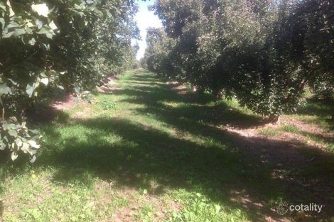 890 Channel Rd, Shepparton East, VIC 3631