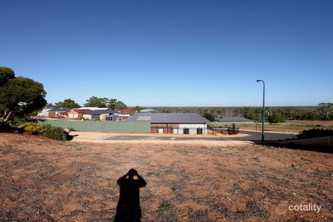 Property photo of 16 McEwen Drive Loxton SA 5333