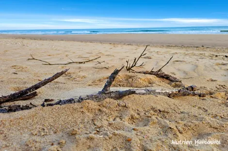 Property photo of 27 Panorama Drive Woodside Beach VIC 3874