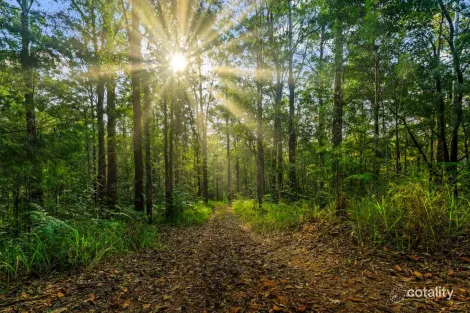 Property photo of 271 Ilkley Road Ilkley QLD 4554