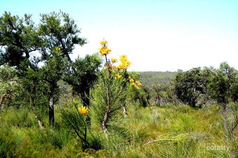 Property photo of 86 Blackbutt Grove Gabbadah WA 6041