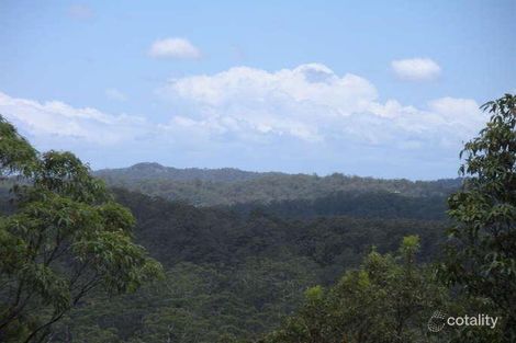 Property photo of 105 Citrus Road Palmwoods QLD 4555