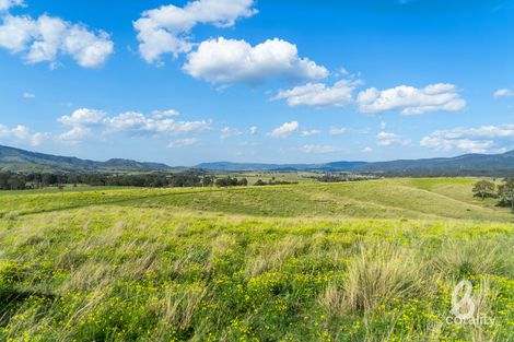 146 Hamiltons Crossing Rd, Reedy Creek, NSW 2330