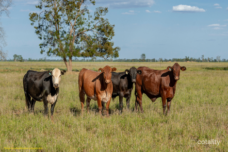 Contact Agent For Address, Gowrie Junction, QLD 4352