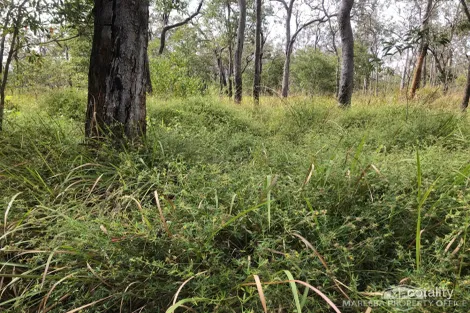 764 Hodzic Rd, Biboohra, QLD 4880