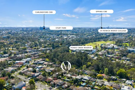Property photo of 157 Park Road Dundas NSW 2117