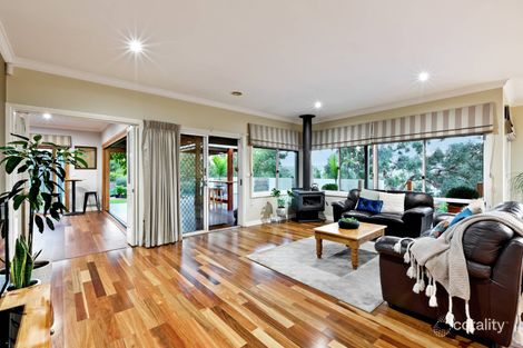 Property photo of 17 Ely Street Eltham VIC 3095