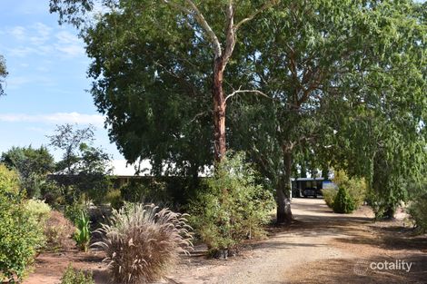 252 Cucumunga St, Renmark West, SA 5341