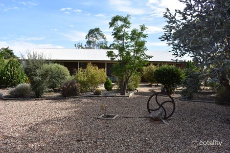 Property photo of 252 Cucumunga Street Renmark West SA 5341
