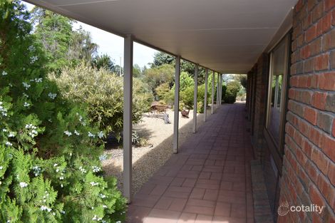 Property photo of 252 Cucumunga Street Renmark West SA 5341