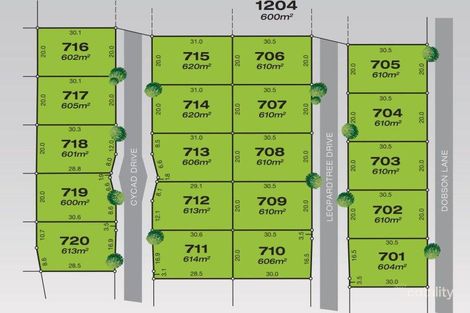 Property photo of 17 Cycad Drive Upper Caboolture QLD 4510