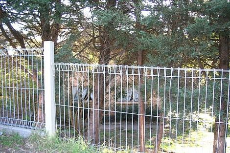 295 The Entrance Rd, Erina, NSW 2250