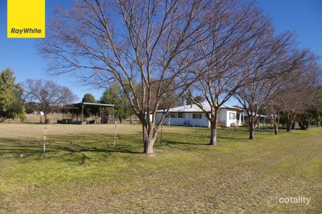 25 David St, Ashford, NSW 2361