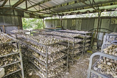 Property photo of 661 Stewarts River Road Lorne NSW 2439