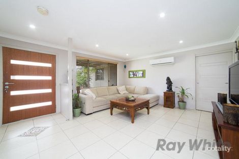 Property photo of 20 Basswood Crescent Fletcher NSW 2287