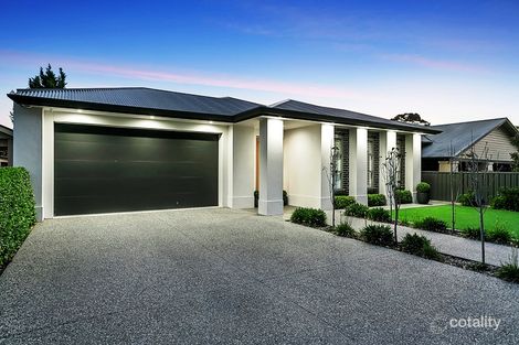 Property photo of 36 Wilson Terrace Glenelg East SA 5045