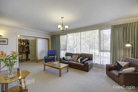 Property photo of 10 White Street Belmont VIC 3216