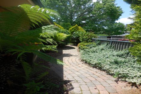 Property photo of 6 Rowlands Street Blayney NSW 2799