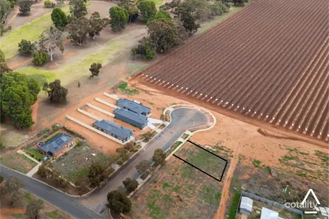 6 Carrazza Ct, Robinvale, VIC 3549