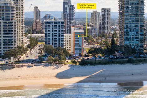 37/64 The Esplanade, Surfers Paradise, QLD 4217