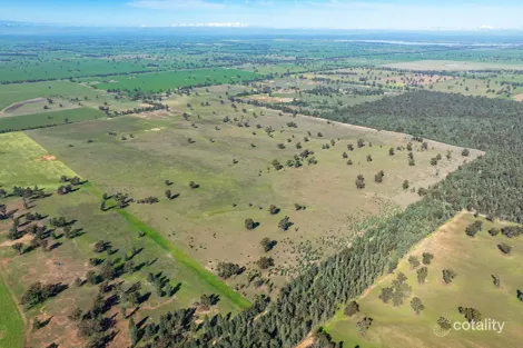 Carmichaels Rd, Mulwala, NSW 2647
