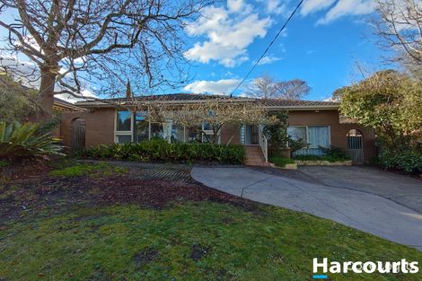 Property photo of 29 Roger Street Doncaster East VIC 3109