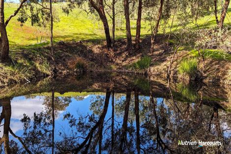 Property photo of 6000 Great Northern Highway Bindoon WA 6502