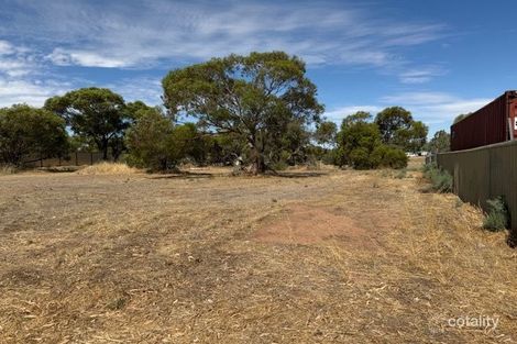 14 Fogarty St, Mingenew, WA 6522