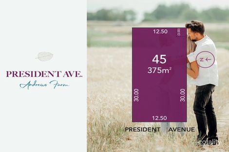 45 President Ave, Andrews Farm, SA 5114