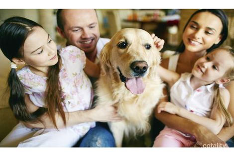 1132 Enright St, Botanic Ridge, VIC 3977